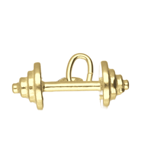 Gouden Halter klein ketting hanger