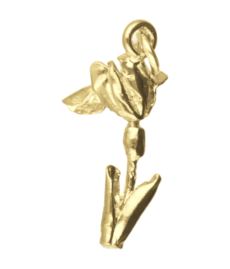 Gouden Iris ketting hanger