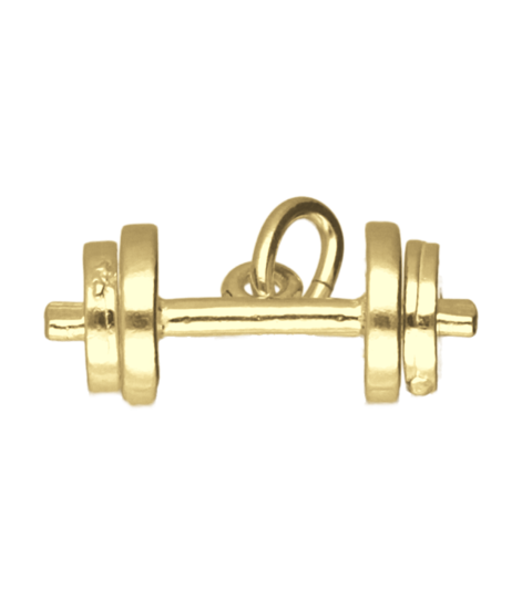 Gouden Halter losse schijven ketting hanger