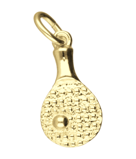 Gouden Tafeltennisbat met bal ketting hanger