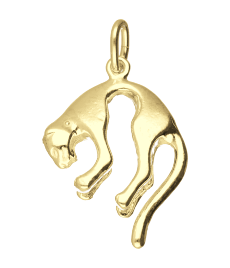Gouden Panter ketting hanger