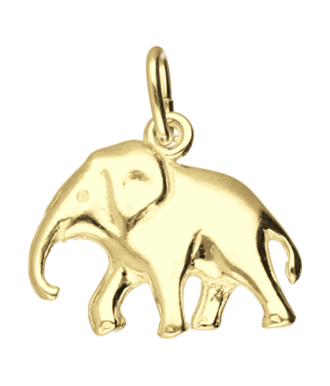 Gouden Olifant ketting hanger