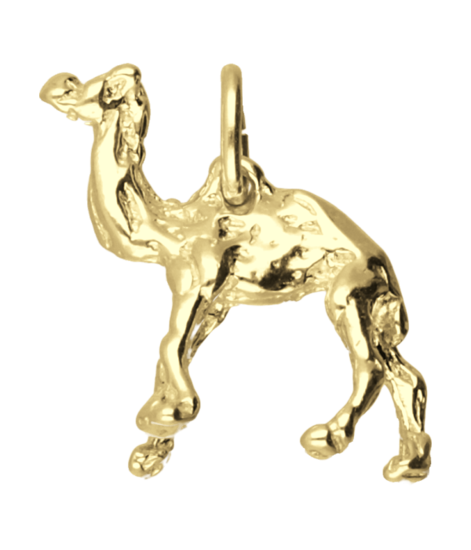 Gouden Dromedaris ketting hanger