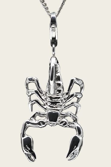 Zilveren Schorpioen groot hanger en/of bedel