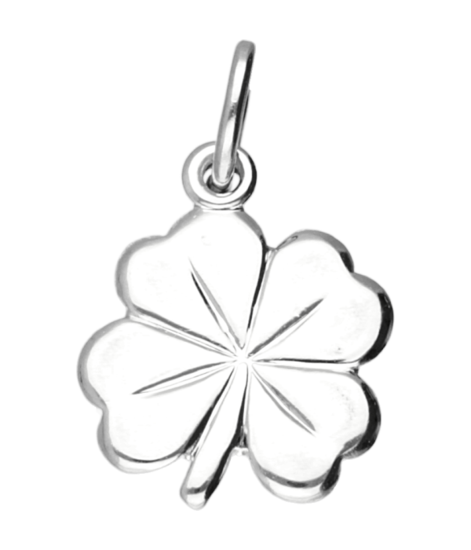 Zilveren Klaver vier 4 blad ketting hanger - groot