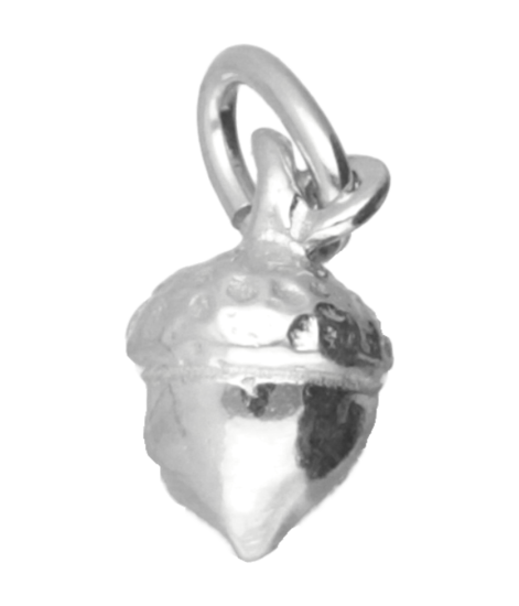Zilveren Eikel ketting hanger - klein