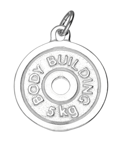 Zilveren Halter ketting hanger - schijf 5 kg