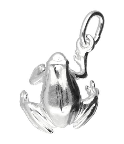 Zilveren Kikker ketting hanger