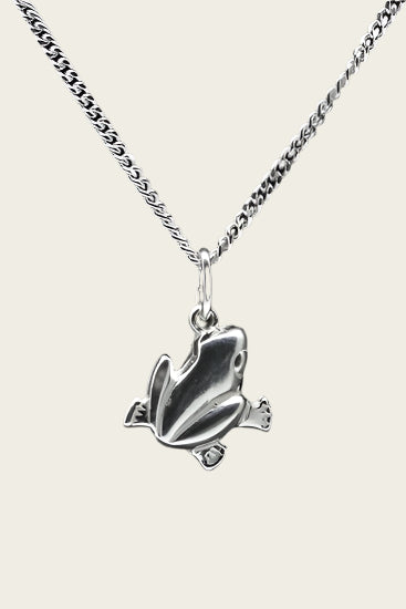 Zilveren Kikker ketting hanger - 2