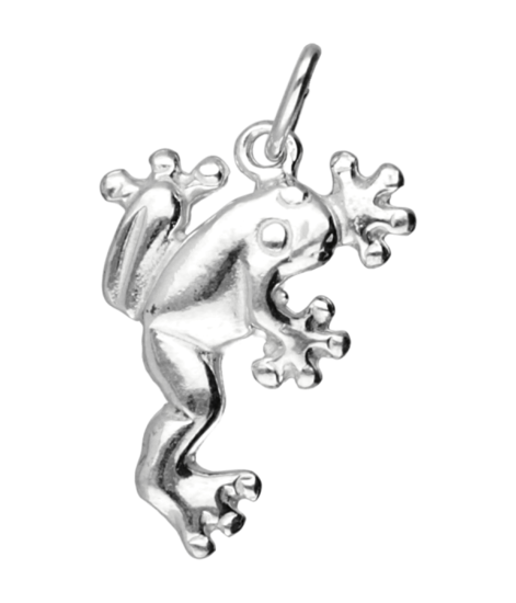 Zilveren Kikker ketting hanger - 3