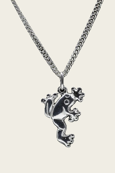 Zilveren Kikker ketting hanger - 3