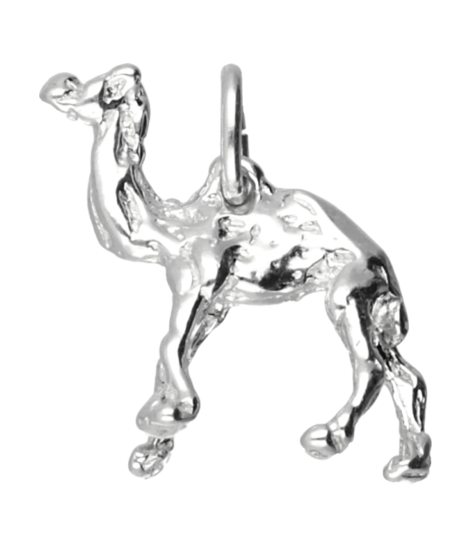 Zilveren Dromedaris ketting hanger