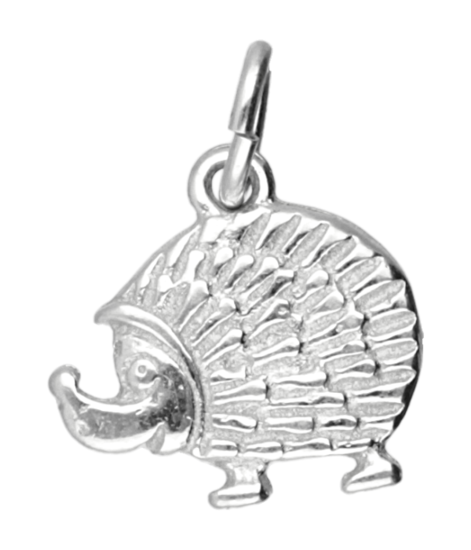 Zilveren Egel massief ketting hanger