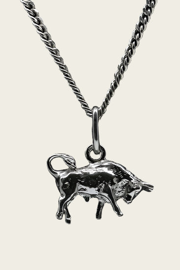 Zilveren Sterrenbeeld Stier ketting hanger - klein