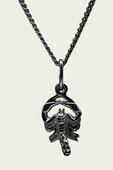 Zilveren Sterrenbeeld Schorpioen ketting hanger - klein