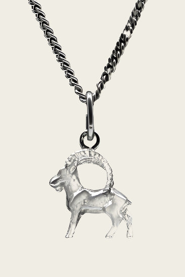 Zilveren Sterrenbeeld Steenbok ketting hanger - klein