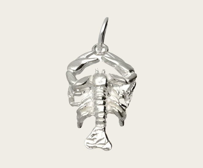 Silver Cancer Zodiac Sign Necklace Pendant - Large