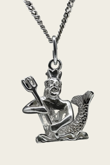 Zilveren Sterrenbeeld Waterman ketting hanger - groot