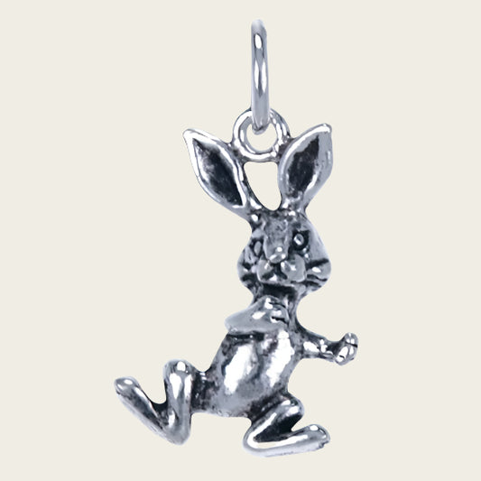 Zilveren Konijn ketting hanger
