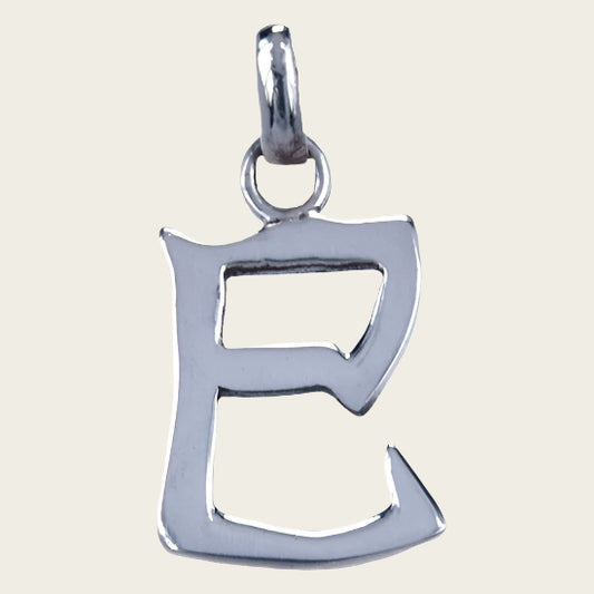 Zilveren Chinese horoscoop Slang - intelligent ketting hanger