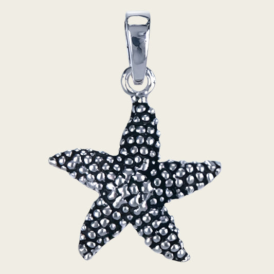 Zilveren Zeester klein ketting hanger
