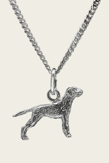 Zilveren Griffon korthals met staart ketting hanger - klein