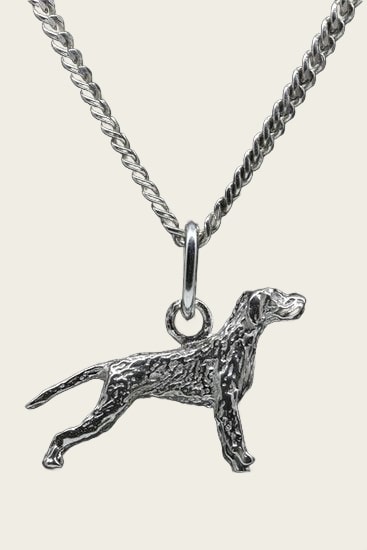Zilveren Spinone met staart ketting hanger - klein
