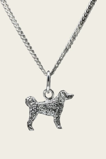 Zilveren Wetterhoun ketting hanger - klein