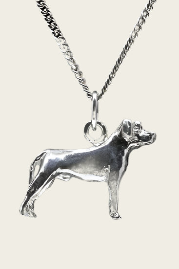 Zilveren Ca canario oren ongecoupeerd ketting hanger - groot
