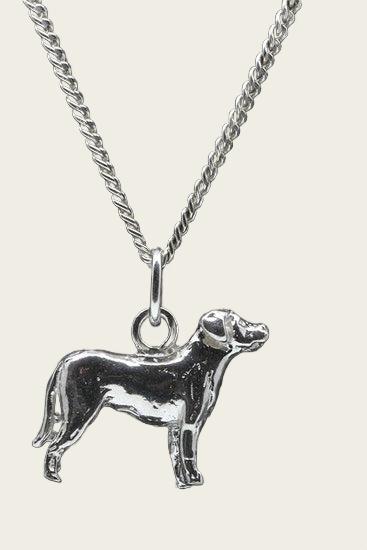 Zilveren Zwitserse sennenhond ketting hanger - groot