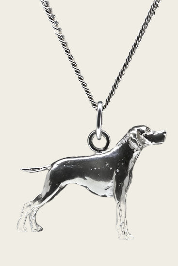 Zilveren Pointer ketting hanger - groot