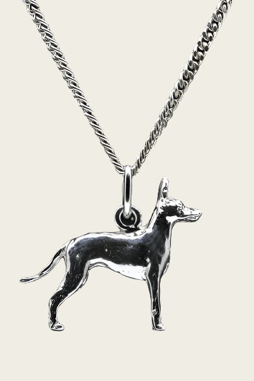 Zilveren Black and tan toy terrier ketting hanger - groot
