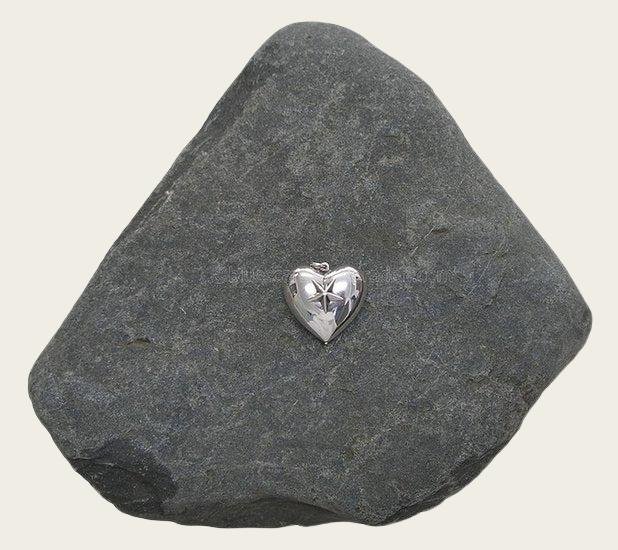 Ashanger Hart met ster verzilverd