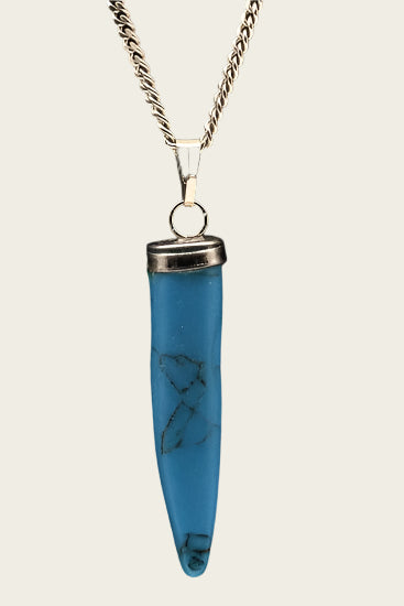 Tand turquoise edelsteen ketting hanger rvs