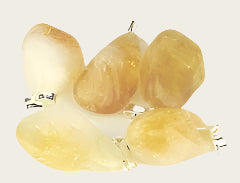 Citrien kwarts edelsteen ketting hanger rvs
