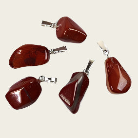 Jaspis gestreept edelsteen ketting hanger rvs