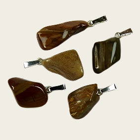 Versteend hout edelsteen ketting hanger rvs