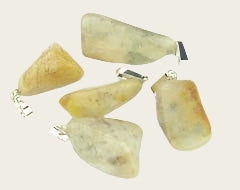 Versteend koraal edelsteen ketting hanger rvs
