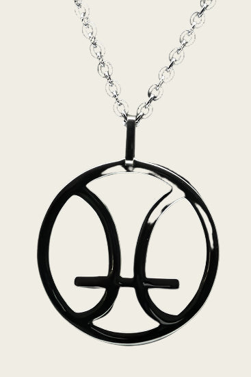 RVS Sterrenbeeld Vissen design ketting hanger - edelstaal