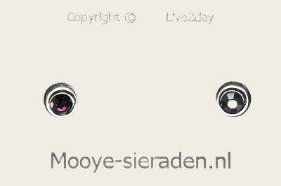 Silver Stud Earrings round with purple cut stone