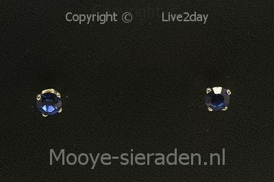 Silver Stud Earrings fine with crown blue