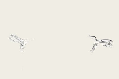 Silver Stud Earrings Bird - hummingbird