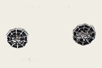 Silver Stud Earrings Spider in web