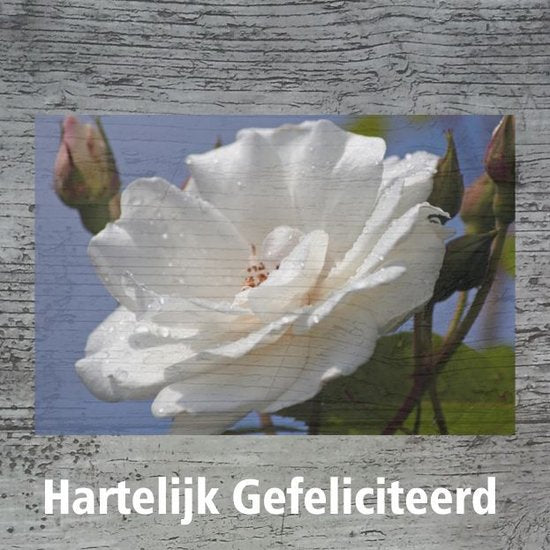Wenskaart "Hartelijk gefeliciteerd"