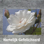Glückwunschkarte „Herzlichen Glückwunsch“