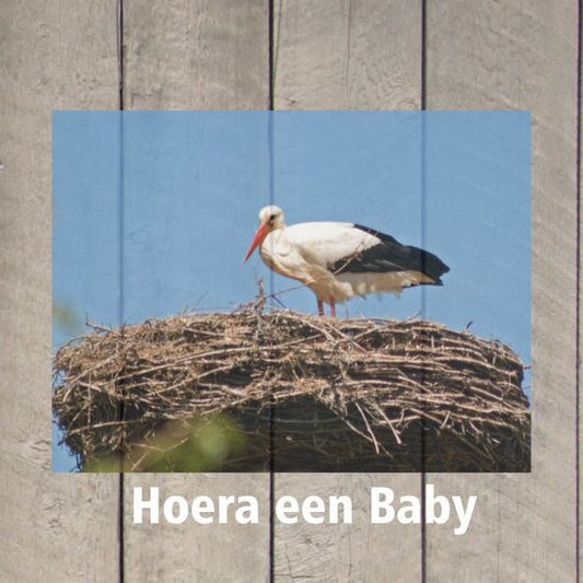 Wenskaart "Hoera een baby"
