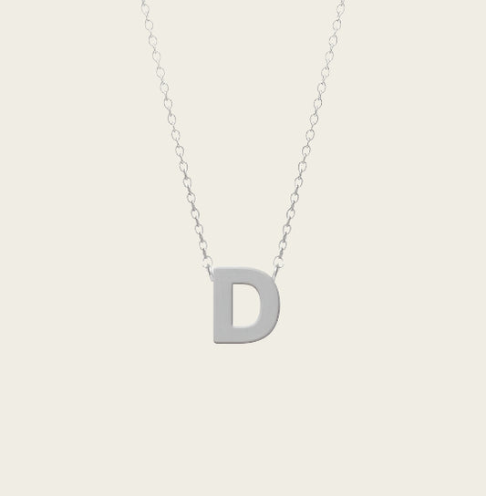 RVS Letter D hanger + ketting  45-50 cm in edelstaal