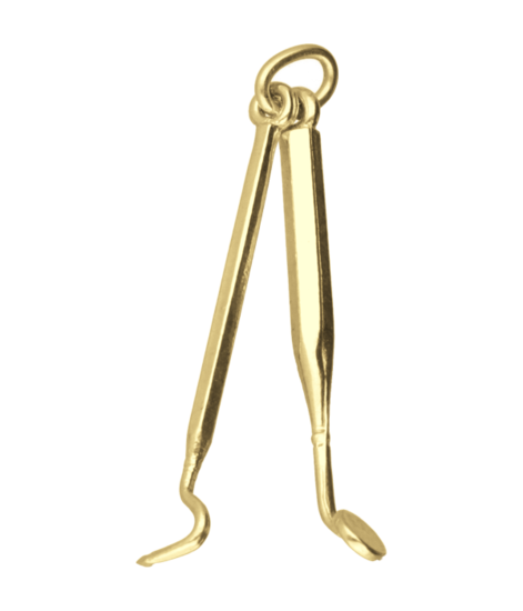 Gouden Tandarts set ketting hanger