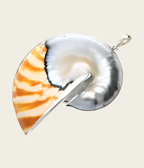 Zilveren Nautilus schelp XL kettinghanger