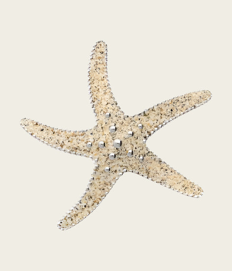 Silver Starfish large with beach sand necklace pendant